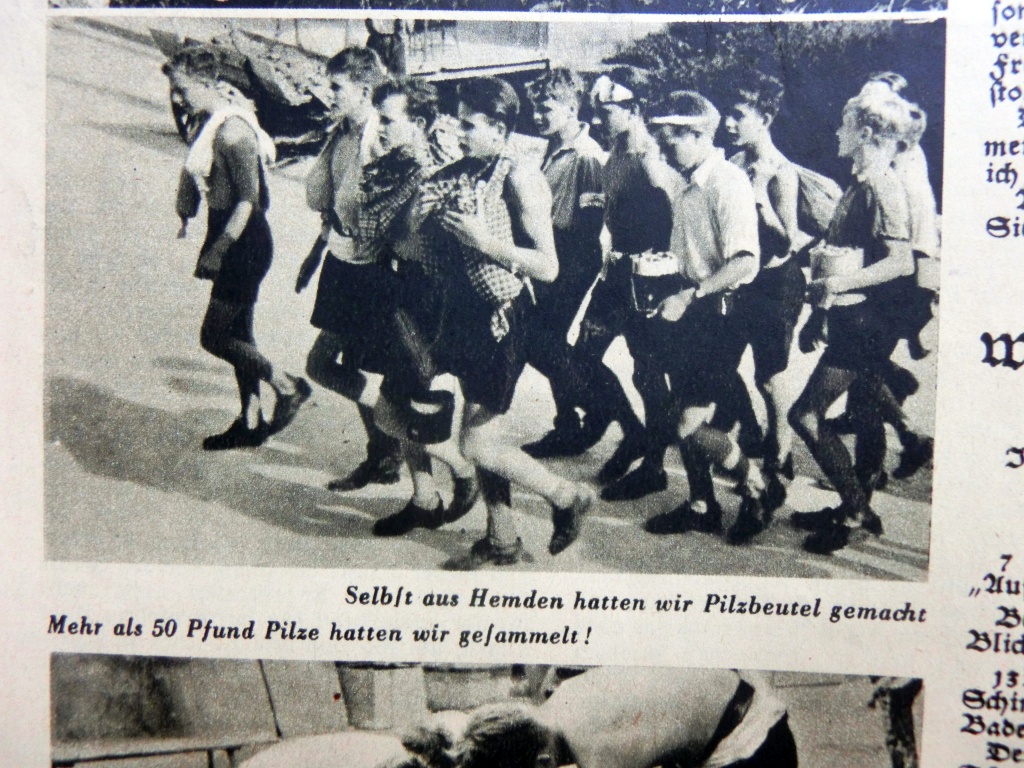 Reichs-Elternwarte, Heft 15/1941