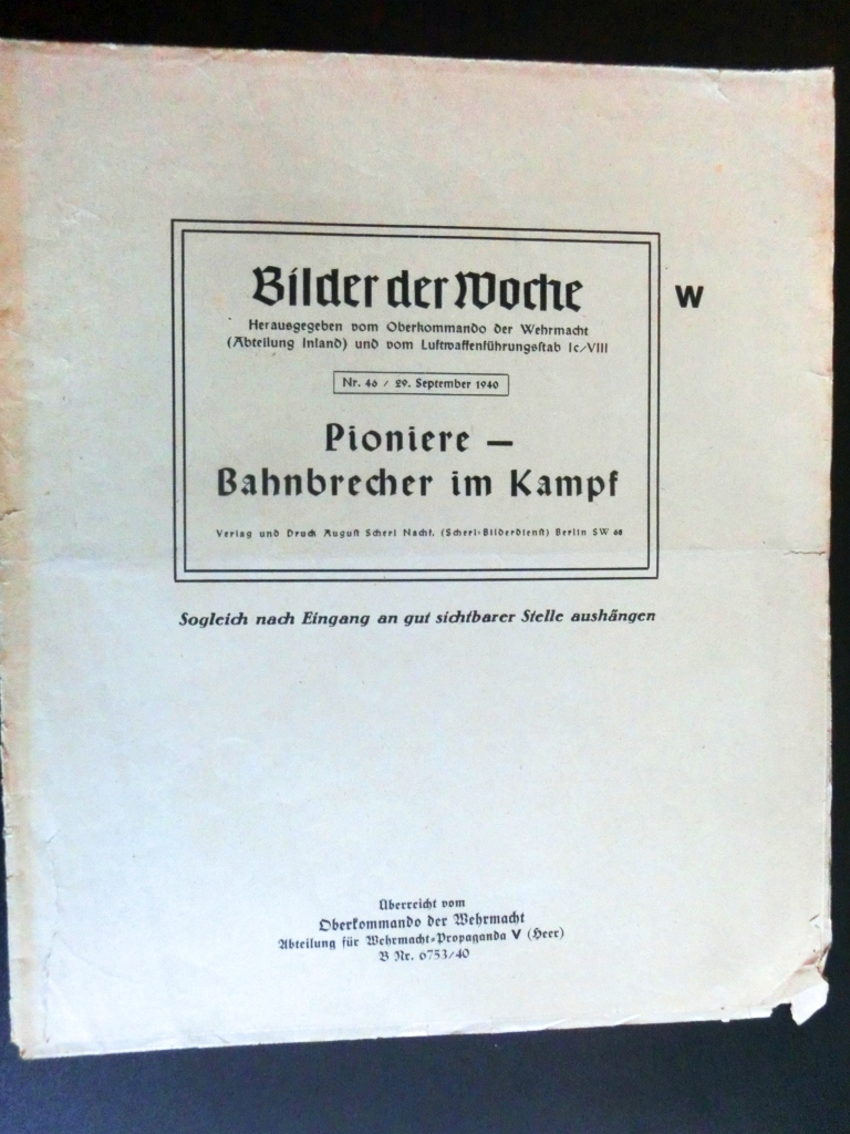 Bilder der Woche