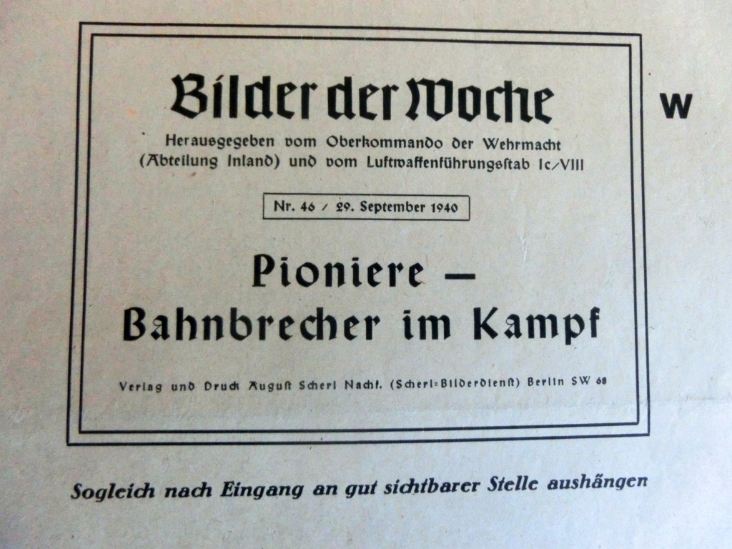 Bilder der Woche