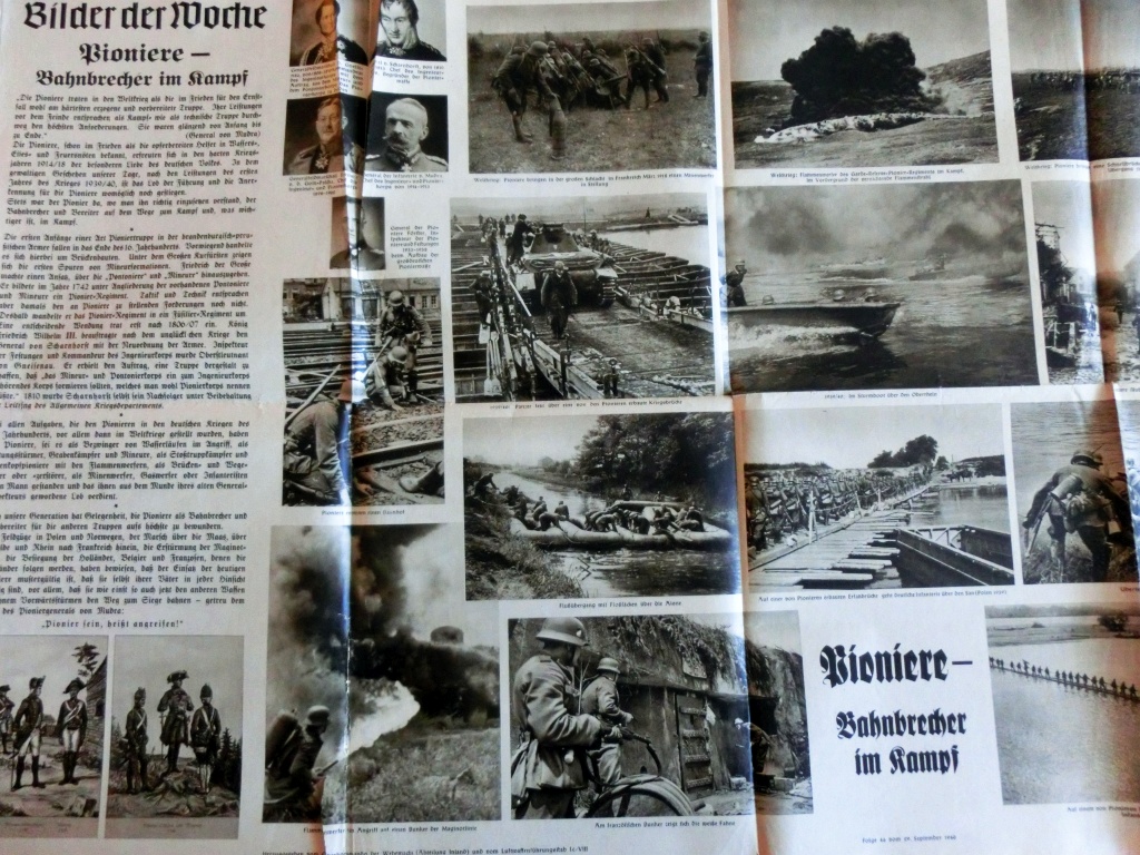 Bilder der Woche
