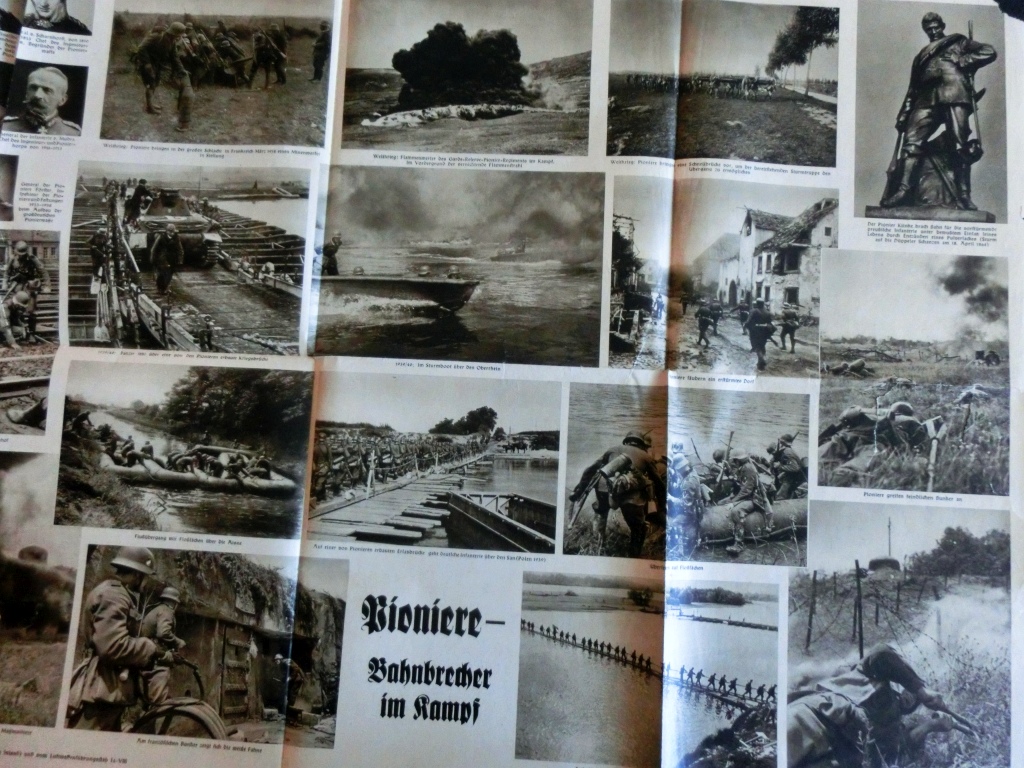 Bilder der Woche